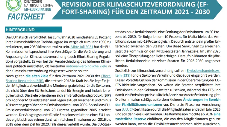 Screenshot Factsheet